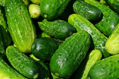 cucumber-pile