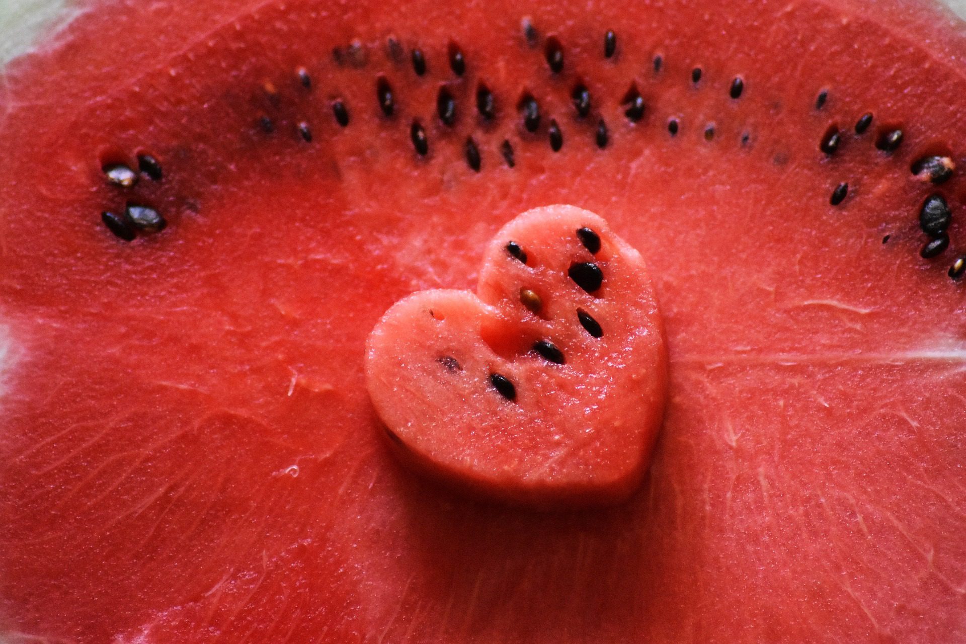 harvesting-watermelon-seeds-for-later-use-tralum