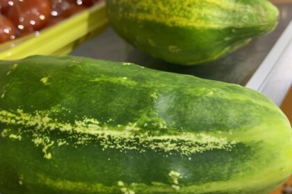 chillin bush cucumber