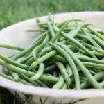 collected green beans