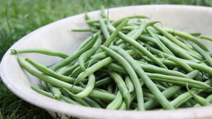 collected green beans