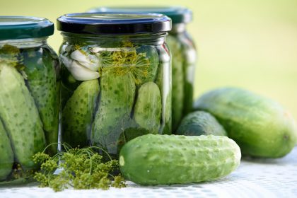 cucumber dill pickled