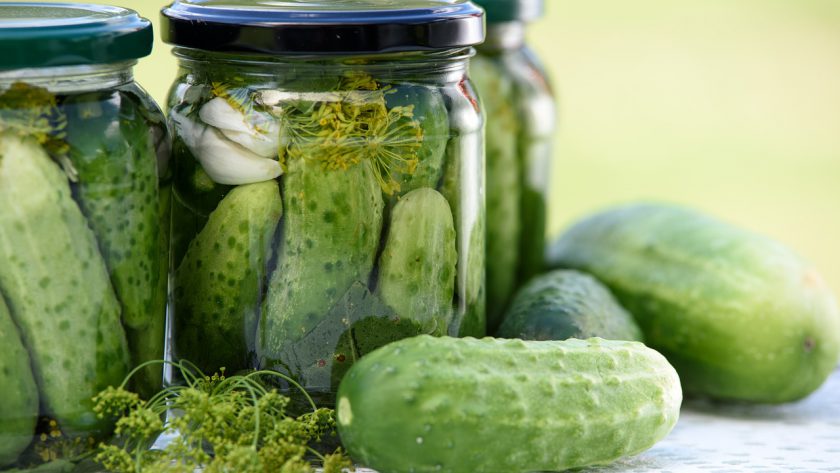 cucumber dill pickled
