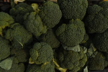 broccoli heads