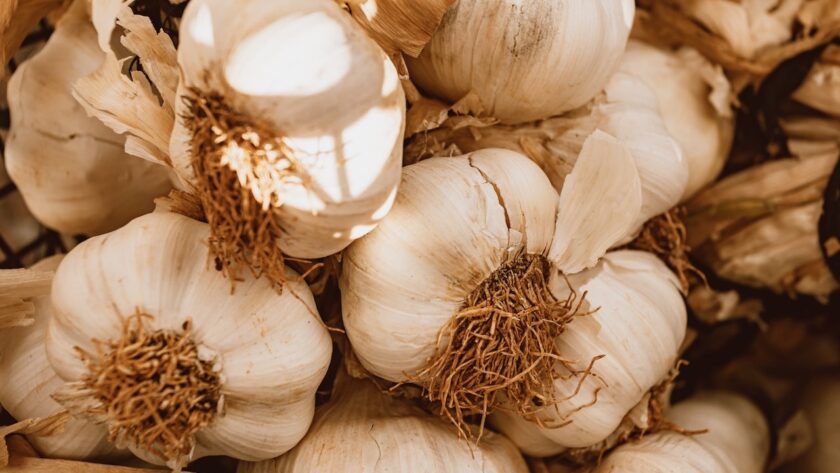 a whole bunch of garlic