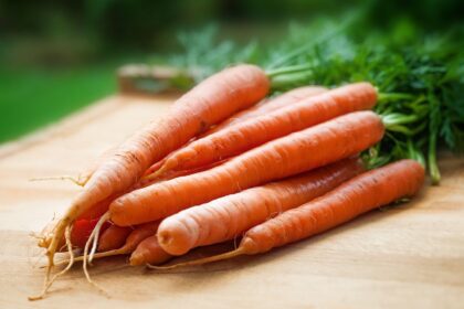 cold-hardy carrots