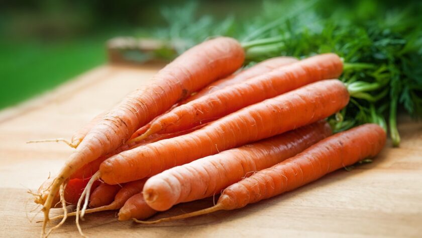 cold-hardy carrots