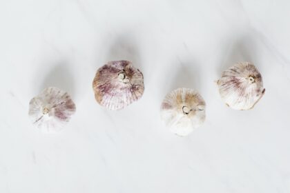 Yum Garlic