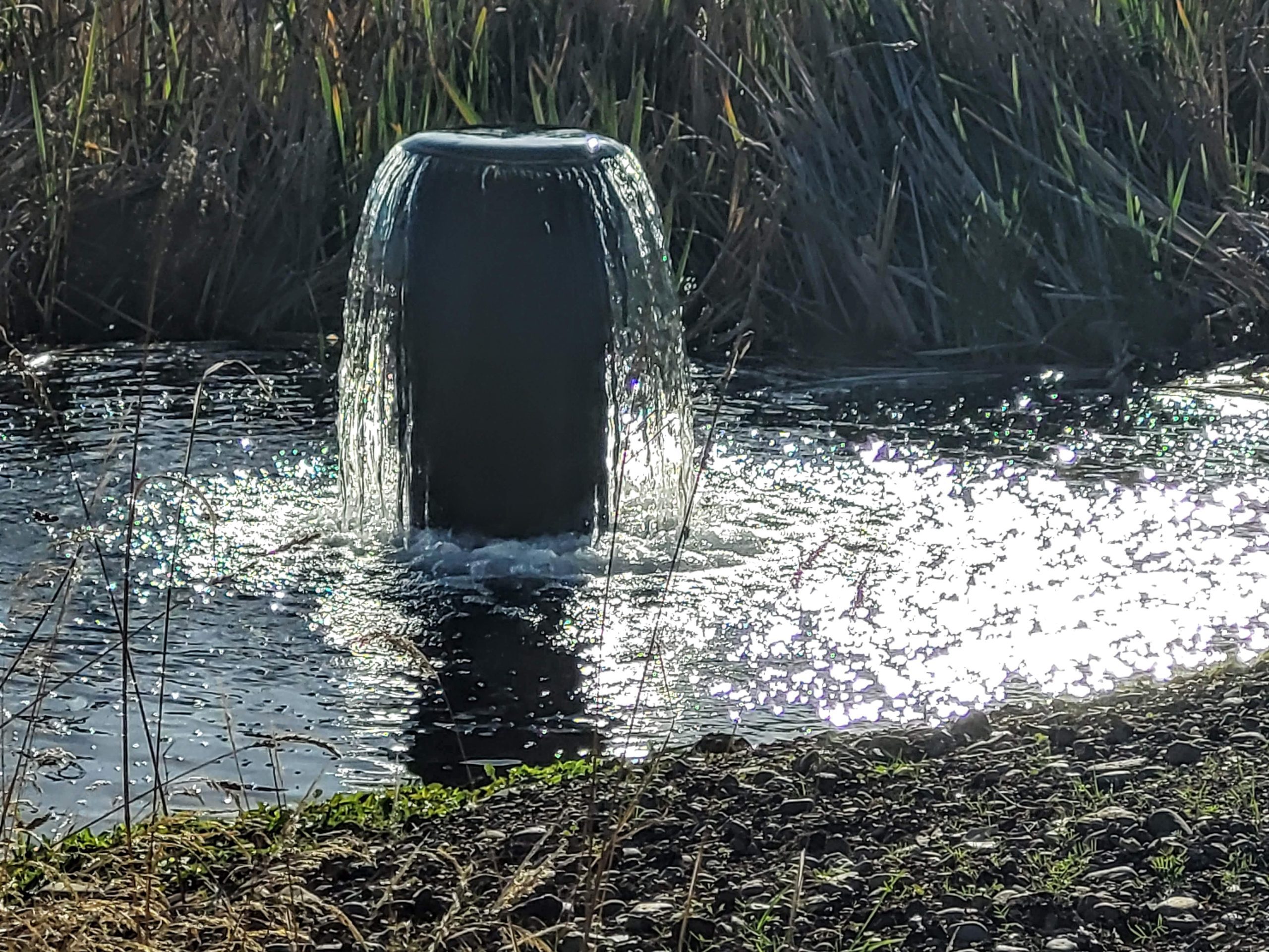 What's this at Water Gardens? Not a fountain – Hasso Hering
